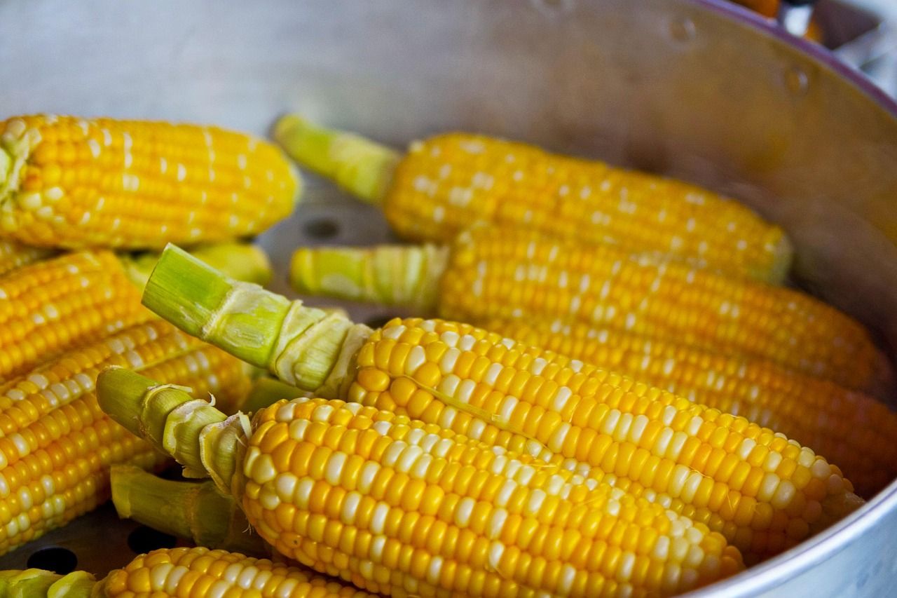 entdecken sie die neuesten ernährungstrends, die ihre gesundheit und ihr wohlbefinden revolutionieren können. erfahren sie alles über innovative superfoods, nachhaltige essgewohnheiten und die richtige balance zwischen genuss und nährstoffaufnahme.