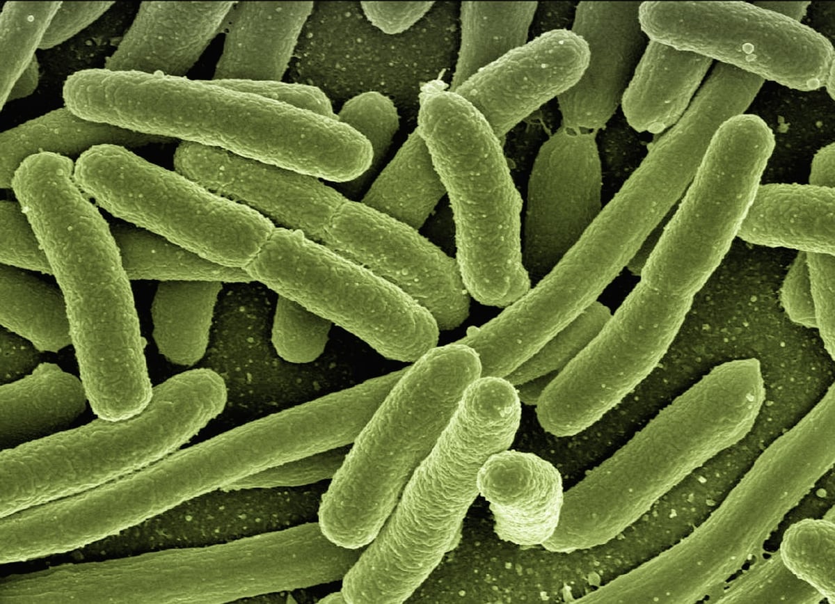 Wie können Sie Ihr Immunsystem natürlich stärken?