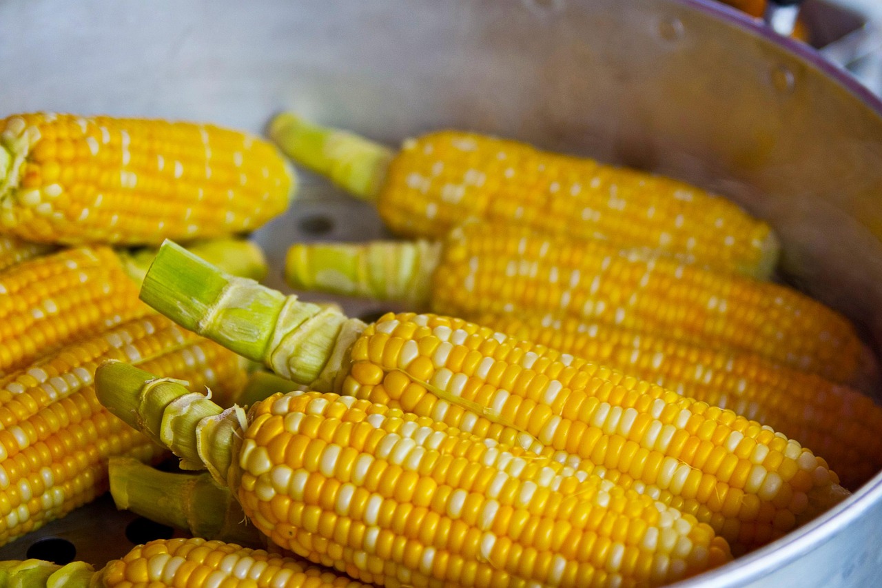 entdecken sie die neuesten ernährungstrends, die ihre gesundheit und ihr wohlbefinden revolutionieren können. erfahren sie alles über innovative superfoods, nachhaltige essgewohnheiten und die richtige balance zwischen genuss und nährstoffaufnahme.