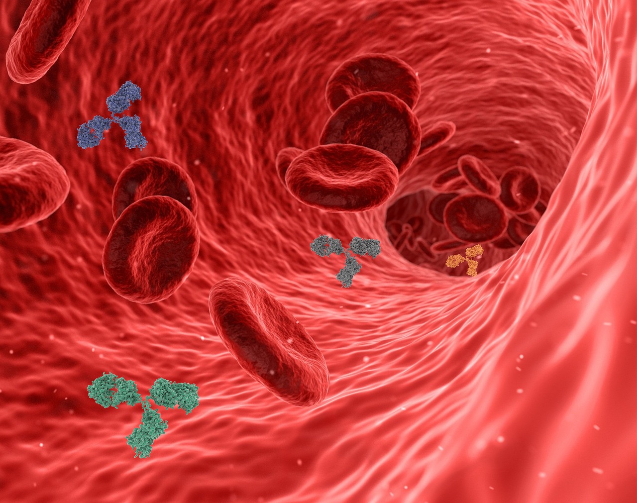 erfahren sie, wie das immunsystem funktioniert, welche faktoren seine gesundheit beeinflussen und wie sie ihre abwehrkräfte stärken können. entdecken sie tipps zur natürlichen unterstützung ihrer immunabwehr.