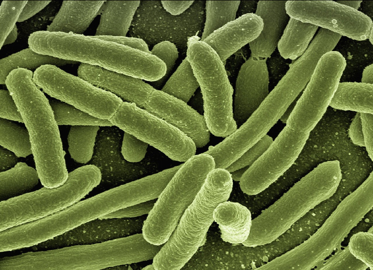 erfahren sie, wie das immunsystem funktioniert, welche rolle es für ihre gesundheit spielt und wie sie ihre abwehrkräfte auf natürliche weise stärken können.